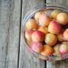 Apricot jam slices - the most delicious recipes for the winter