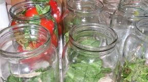 Original recipes for tomato blanks for experienced housewives
