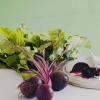 Pickled beets for the winter: recipes