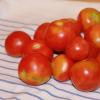 Hjemmelavet tomatrulning til vinteren uden besvær