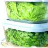 Самые простые варианты, как можно заморозить петрушку на зиму в холодильнике Можно ли замораживать зелень