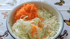 Stewed cabbage for the winter table: secrets and recipes