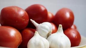 Tomatoes with garlic for the winter - the best recipes for gourmet