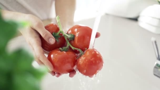 Tomatoes in the snow for the winter, proven recipes with garlic