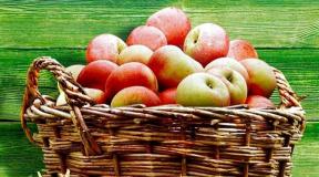 Läpinäkyvä omenahillo hitaassa keittimessä: resepti talveksi