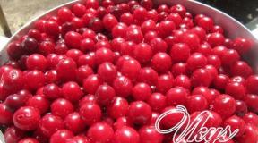Kirsebærjuice - kalorieindhold, sammensætning og gavnlige egenskaber Juice med kirsebærmasse til vinteren