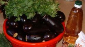 Eggplant marinated with garlic and herbs quick recipes with photos