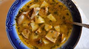 Суп грибной из свежих грибов — 10 вкусных рецептов грибного супа